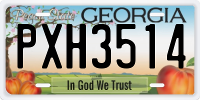 GA license plate PXH3514