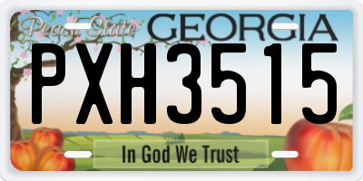 GA license plate PXH3515