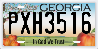 GA license plate PXH3516