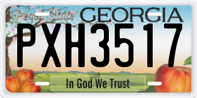 GA license plate PXH3517