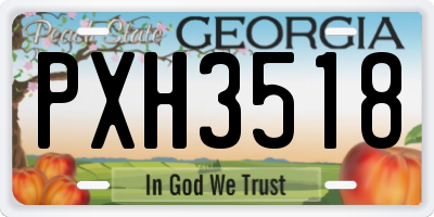 GA license plate PXH3518