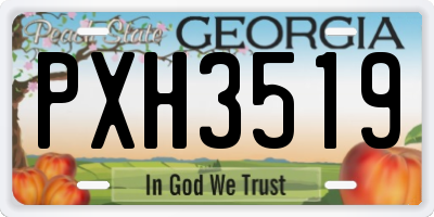 GA license plate PXH3519