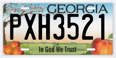 GA license plate PXH3521