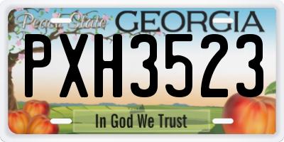 GA license plate PXH3523