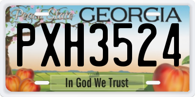 GA license plate PXH3524