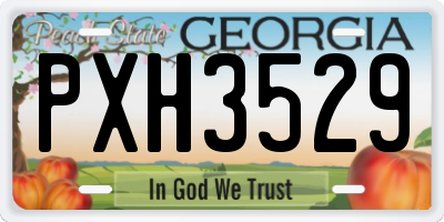 GA license plate PXH3529