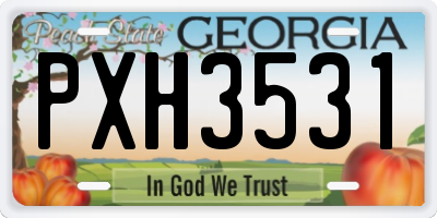 GA license plate PXH3531