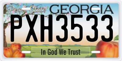 GA license plate PXH3533