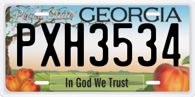 GA license plate PXH3534
