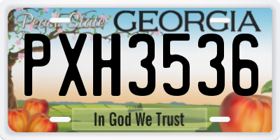 GA license plate PXH3536