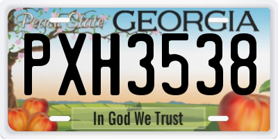 GA license plate PXH3538