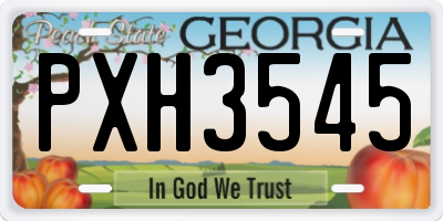 GA license plate PXH3545