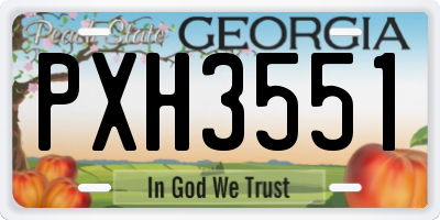 GA license plate PXH3551