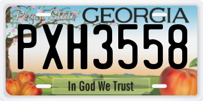 GA license plate PXH3558