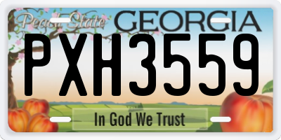 GA license plate PXH3559