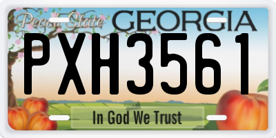 GA license plate PXH3561