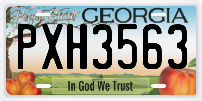 GA license plate PXH3563
