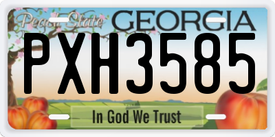 GA license plate PXH3585