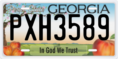 GA license plate PXH3589