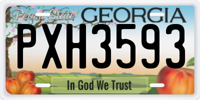 GA license plate PXH3593
