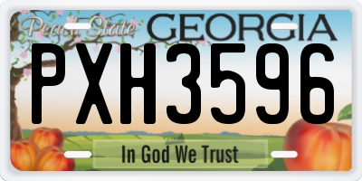 GA license plate PXH3596