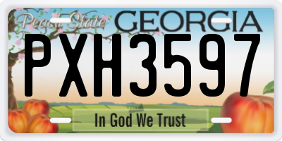GA license plate PXH3597