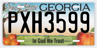GA license plate PXH3599