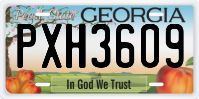 GA license plate PXH3609