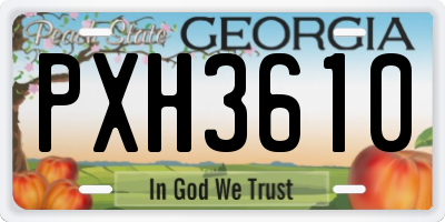 GA license plate PXH3610