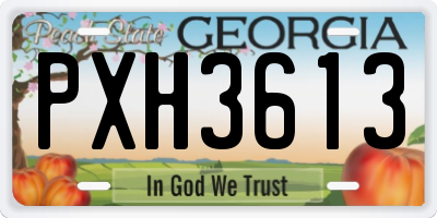GA license plate PXH3613