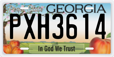 GA license plate PXH3614