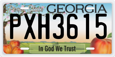 GA license plate PXH3615