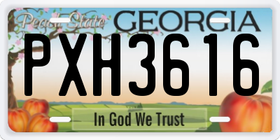 GA license plate PXH3616