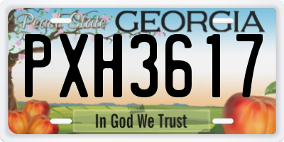 GA license plate PXH3617