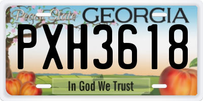 GA license plate PXH3618