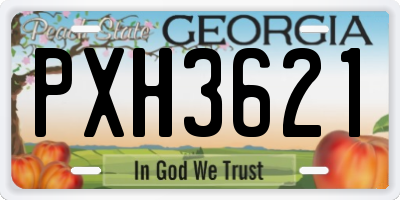 GA license plate PXH3621