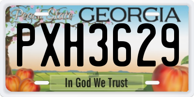 GA license plate PXH3629