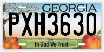 GA license plate PXH3630