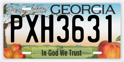 GA license plate PXH3631