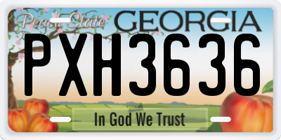GA license plate PXH3636