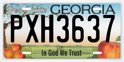 GA license plate PXH3637