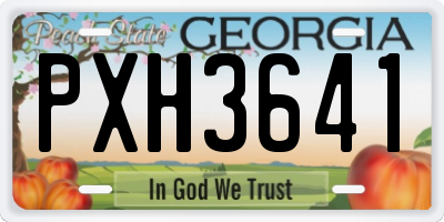 GA license plate PXH3641
