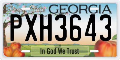 GA license plate PXH3643