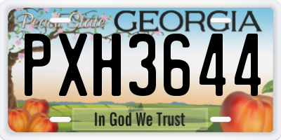 GA license plate PXH3644