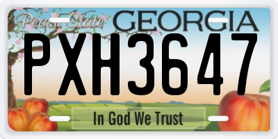 GA license plate PXH3647