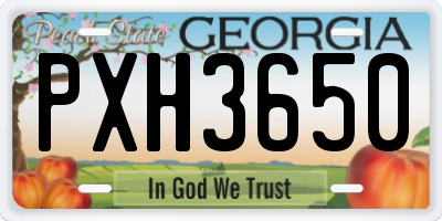 GA license plate PXH3650
