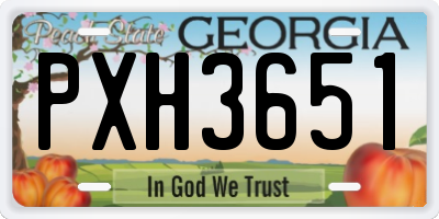 GA license plate PXH3651
