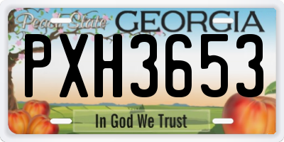GA license plate PXH3653