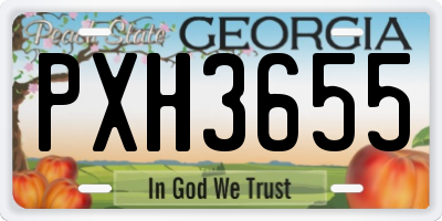 GA license plate PXH3655