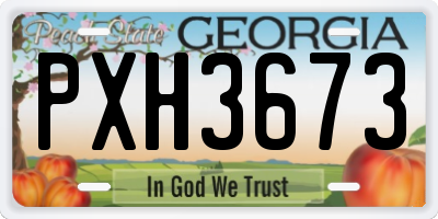 GA license plate PXH3673